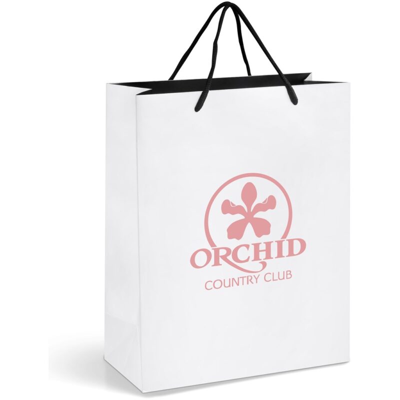 Altitude Dazzle Midi Paper Gift Bag